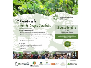 Encuentro Red de Bosques